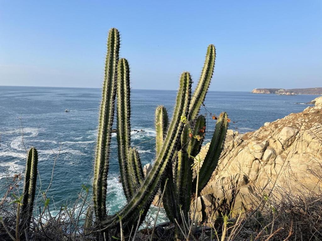 דירות Santa María Huatulco Punta Arrocito B102 מראה חיצוני תמונה