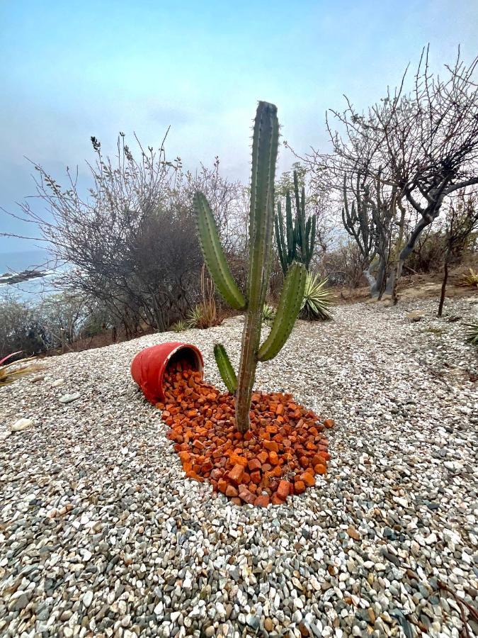 דירות Santa María Huatulco Punta Arrocito B102 מראה חיצוני תמונה
