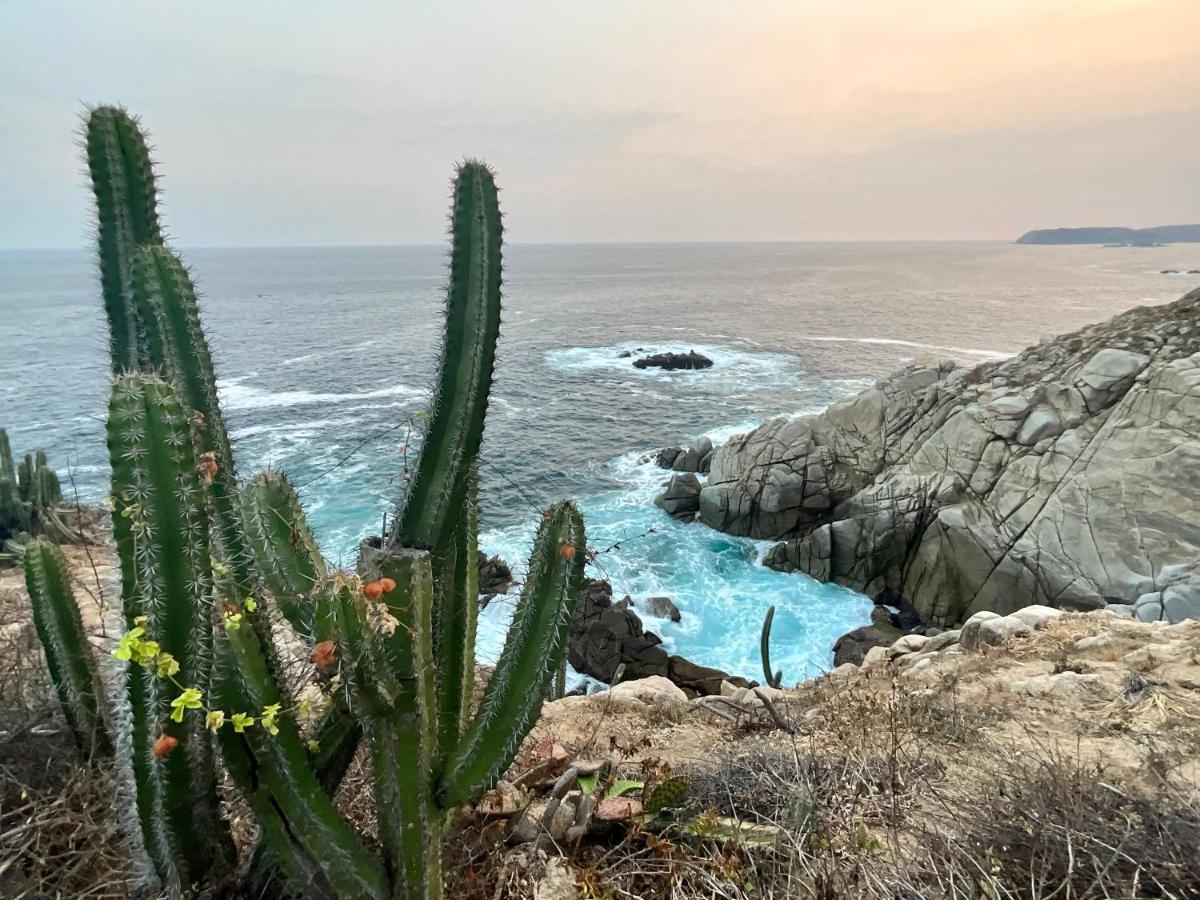דירות Santa María Huatulco Punta Arrocito B102 מראה חיצוני תמונה