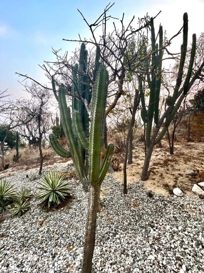 דירות Santa María Huatulco Punta Arrocito B102 מראה חיצוני תמונה
